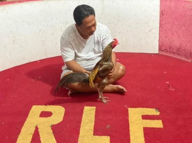 Tanggapan Muhammad Idris Terkait Tuduhan Judi Sabung Ayam oleh GEMAH