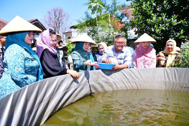 
					TP PKK Provinsi Jawa Barat Samantha Dewi Erwan saat melaksanakan kunjungan kerja ke KWT Mandiri, Kelurahan Cigugur, Kecamatan Cimahi Tengah, Kota Cimahi, Jumat (28/8/2026).