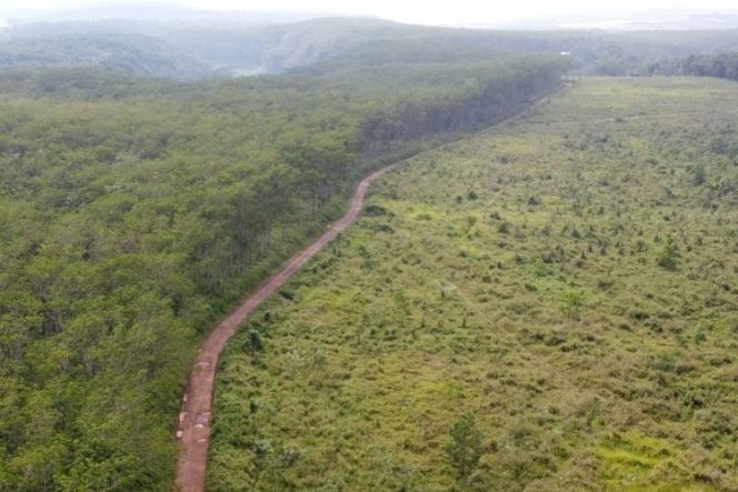 
					BPBD dan BNPB Jabar Bergerak Tangani Kebakaran Lahan dan Kekeringan di Jabar